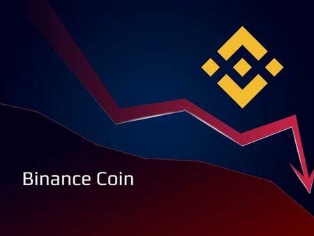 Why Binance Stock is Down?