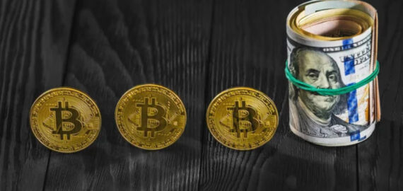 What Cryptocurrency to Invest in?